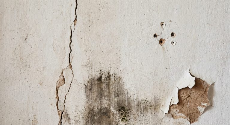4 défauts courants sur un mur avant la pose d&rsquo;un revêtement